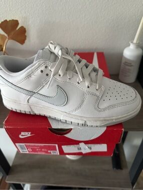 Nike women’s dunk low retro White and Light Gray Low-Top Sneaker